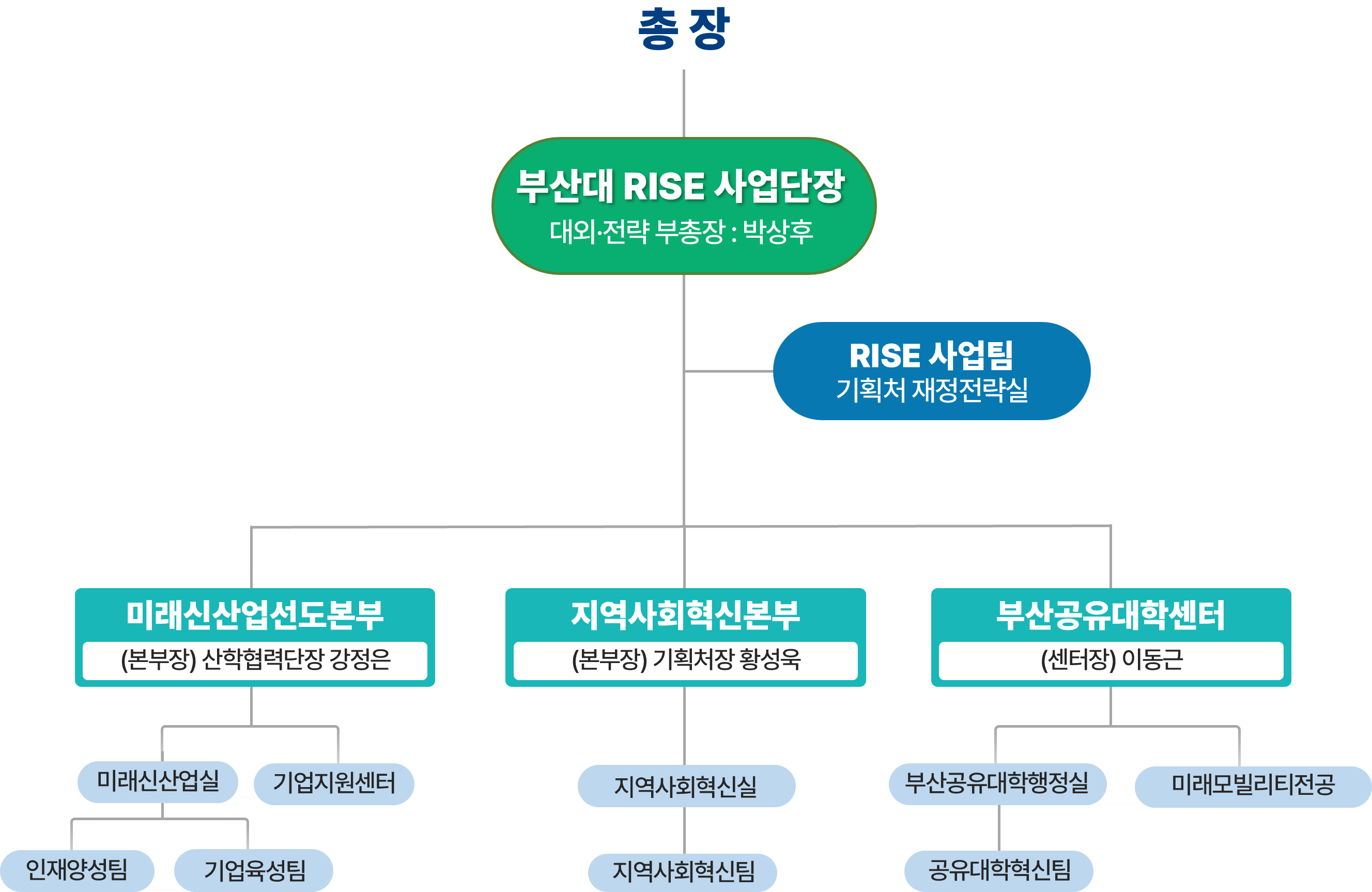 조직현황